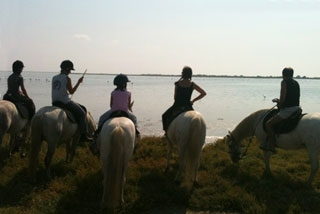 Contemplación en la Camarga 